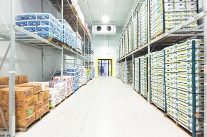 Cold Room Manufacturers